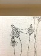 picture-38