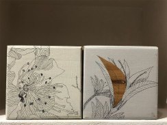 thea-van-staden-06