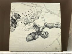 thea-van-staden-08