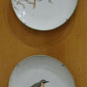 DSC02335