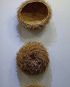 1picture_34